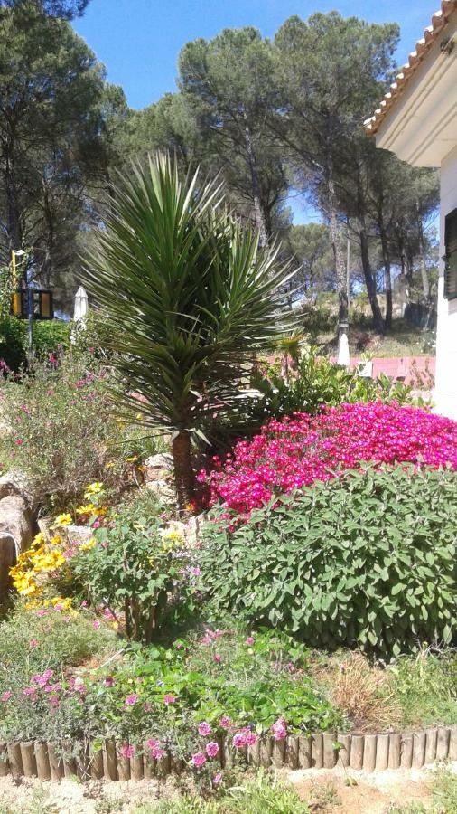 Casa Encantadora Con Piscina Privada Y Chimenea Βίλα Las Jaras Εξωτερικό φωτογραφία