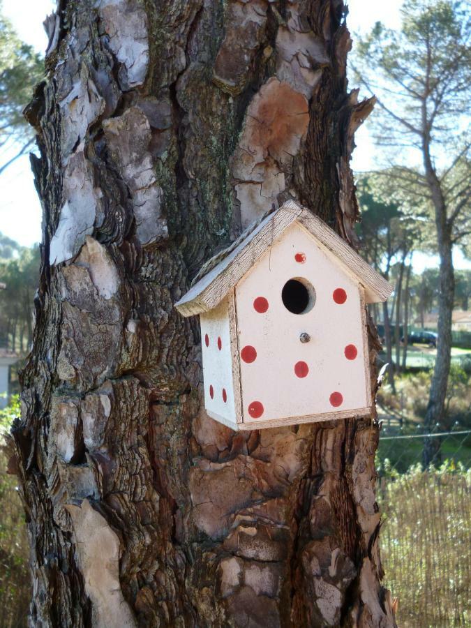 Casa Encantadora Con Piscina Privada Y Chimenea Βίλα Las Jaras Εξωτερικό φωτογραφία